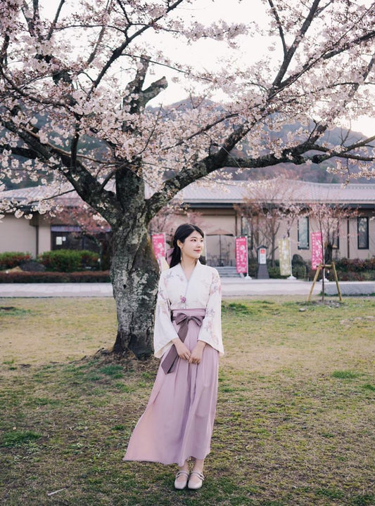 Vestido Hanfu Femenino Primavera Otoño - Estilo Hada Elegante Antiguo - Image 2