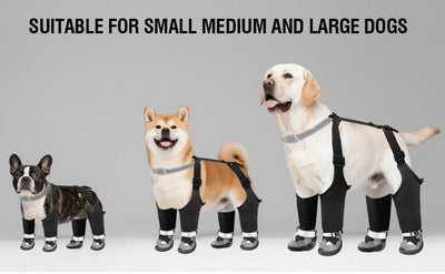 Botas Protectoras para Perros - Impermeables y Térmicas para Clima Frío - Image 13