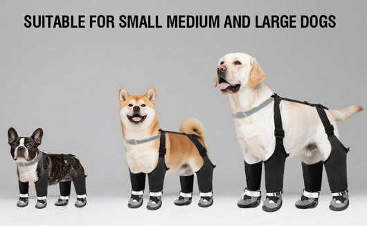 Botas Protectoras para Perros - Impermeables y Térmicas para Clima Frío - Image 13