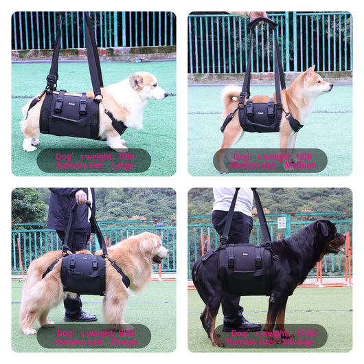 Arnés de Soporte para Patas de Perro - Rehabilitación y Movilidad - Image 3