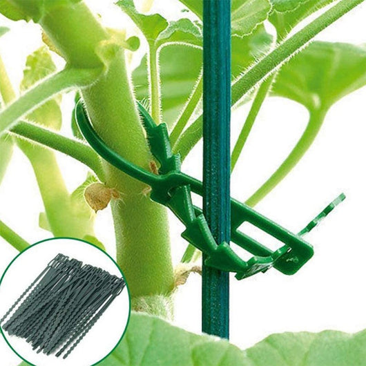 Cinta de Sujeción para Plantas Espiga de Pescado Verde - Image 26