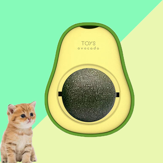 Two purple pet grooming brushes, a red interactive cat toy with a rope, and an avocado-shaped catnip toy.