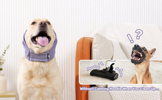 Protector Auditivo Calmante para Perros - Cobertura Ajustable contra Ruido y Ansiedad - Image 9