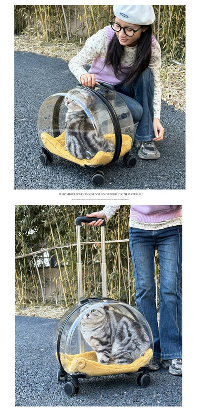 Mochila Transportadora Transparente para Gatos y Mascotas Pequeñas - Image 22