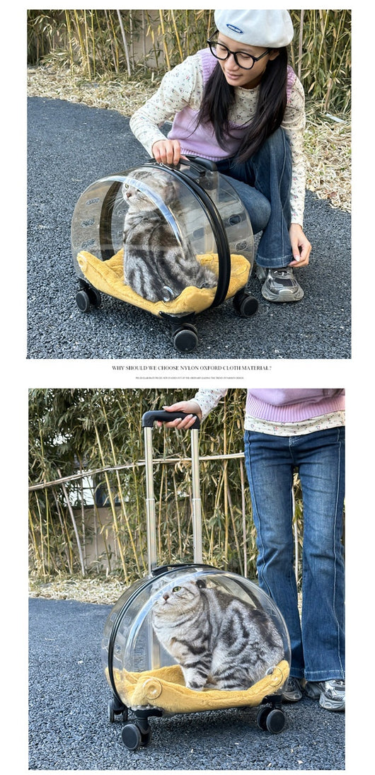 Mochila Transportadora Transparente para Gatos y Mascotas Pequeñas - Image 22