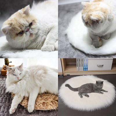 Manta Eléctrica Térmica Impermeable para Mascotas - Image 18