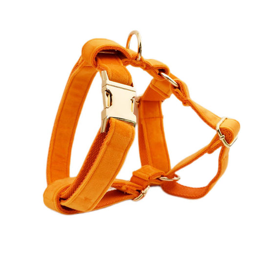 Collar de Terciopelo para Perros - Suave y Elegante - Image 16