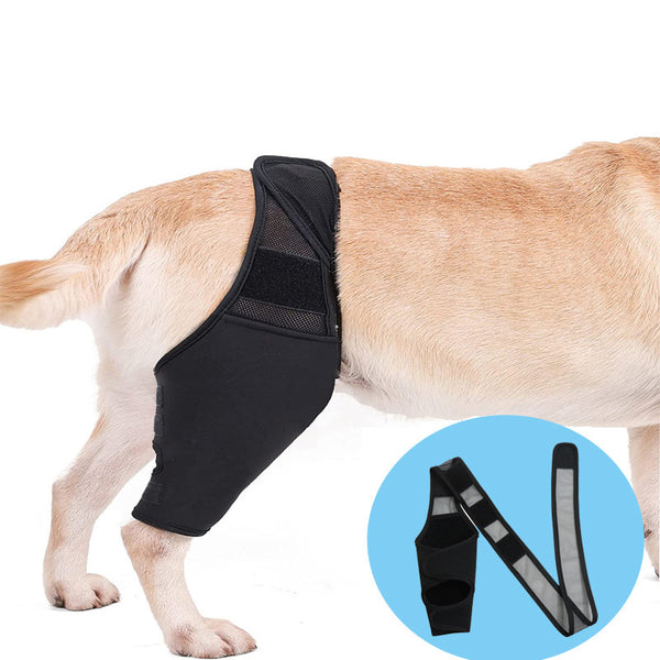 Black pet knee pad with mesh panels and hook-and-loop fasteners, designed for dog joint injury recovery and support.
