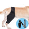 Protector de Articulaciones para Perros - Rodillera Ajustable con Soporte Postoperatorio