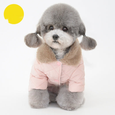 Abrigo de Algodón para Perros - Colección Invierno - Image 4