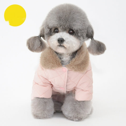 Abrigo de Algodón para Perros - Colección Invierno - Image 4