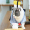 Brinquedo de Catnip Sushi Anti-Tédio Resistente a Mordidas