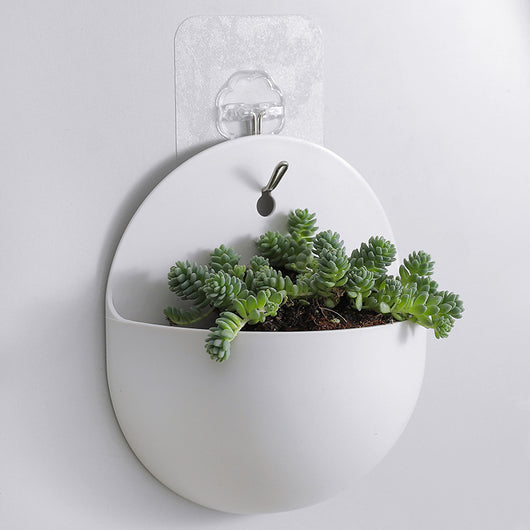 Maceta Colgante Hidropónica de Pared - Jardinera Automática para Plantas de Interior - Image 4