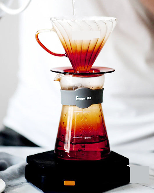 Cafetera de Vidrio Resistente al Calor con Filtro Manual - Image 14