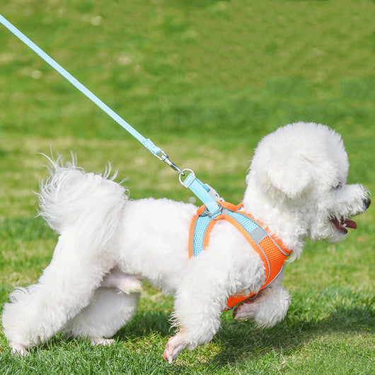 Arnés Reflectante para Perros con Correa de Mano - Chaleco Transpirable de Seguridad