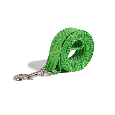 Correa Portátil con Asidero para Perros - Collar de Paseo Seguro - Image 12