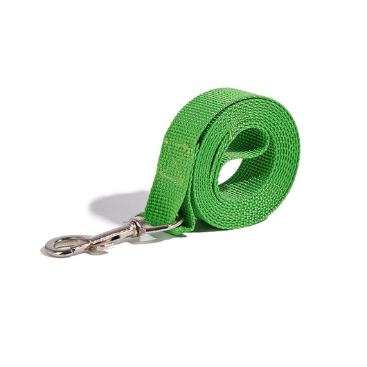 Correa Portátil con Asidero para Perros - Collar de Paseo Seguro - Image 12