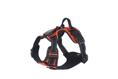 Chaleco LED Luminoso para Paseos Nocturnos de Mascotas con Destello Ajustable - Image 12