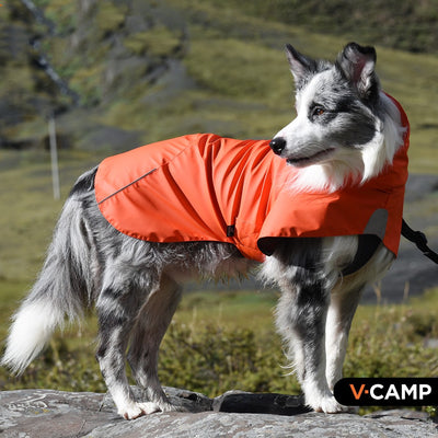 Impermeable para Perros - Chaqueta Protectora Resistente al Viento y Lluvia - Image 3