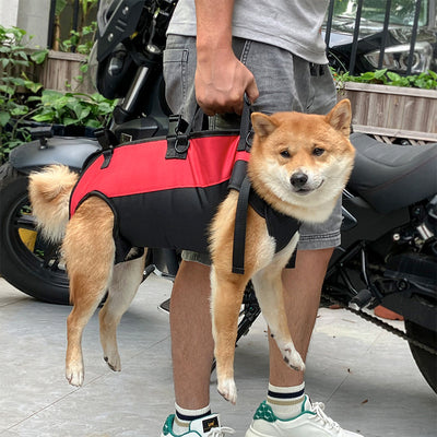 Mochila Transportadora Aérea para Mascotas - Paseos y Aventuras - Image 2