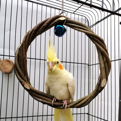 A green and red lovebird perches on a natural wood branch perch, mounted inside a white wire bird cage. - Image 8