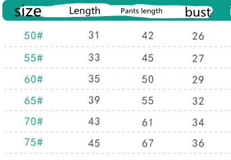 Conjunto de Ropa de Algodón para Bebé - Pantalones Largos Otoño Invierno - Image 8