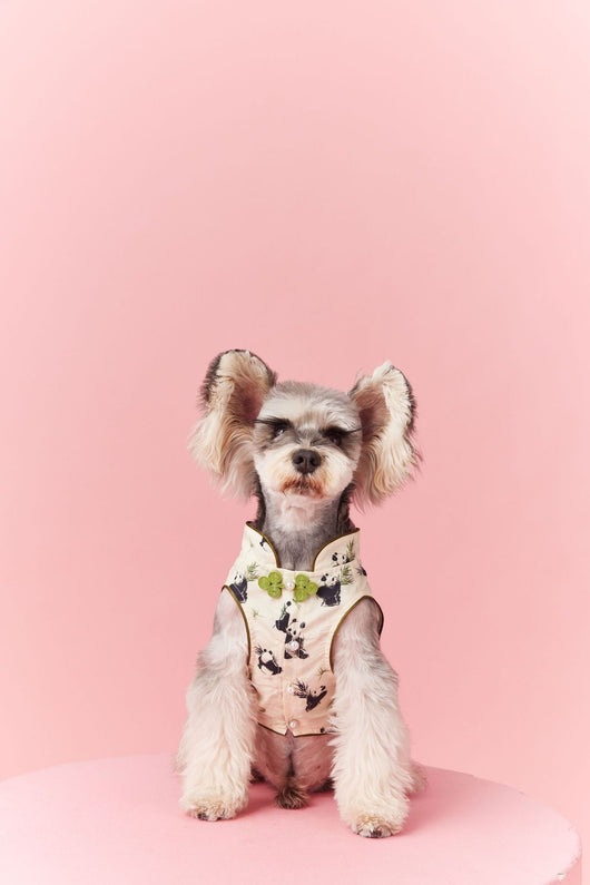 Chaleco sin Mangas Estilo Chino para Mascotas - Diseño Panda Teddy Schnauzer Bichón - Image 39