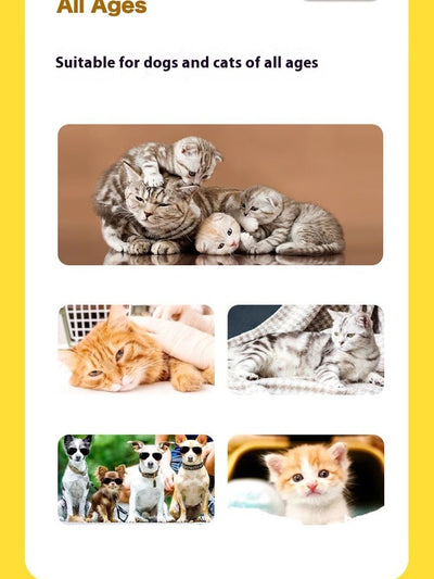 Protectores Desechables Impermeables para Patas de Mascotas - Image 8
