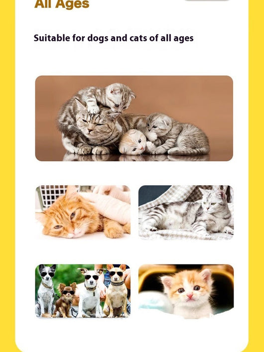 Protectores Desechables Impermeables para Patas de Mascotas - Image 8