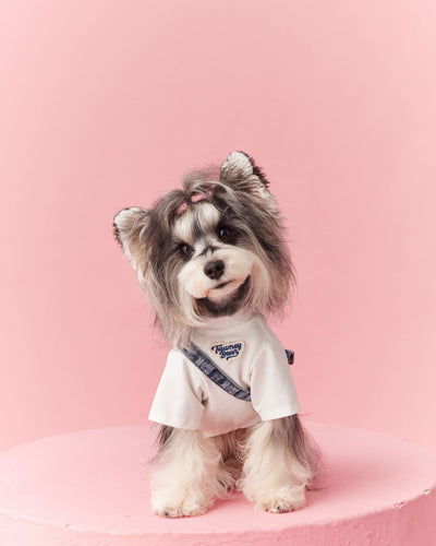 Ropa de Verano para Perros Pequeños - Teddy Schnauzer Bichón - Image 23