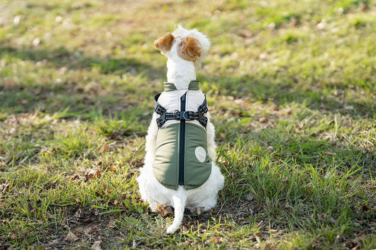 Chaleco Térmico Protector para Perros - Image 23