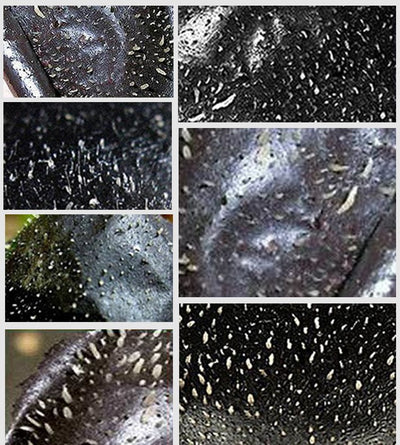 Mascarilla Facial de Barro Volcánico Mineral para Eliminar Puntos Negros - Image 8