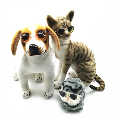 Gafas para Mascotas con Estilo Excéntrico - Image 5