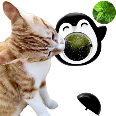 Juguete Interactivo de Hierba Gatera y Madera para Gatos - Image 18