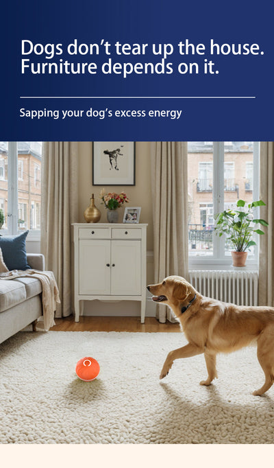 Pelota Inteligente de Rebote por Gravedad para Perros - Image 20