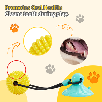 Juguete Masticable de Maíz con Ventosa - Juego Interactivo de Tracción para Perros Medianos y Grandes - Image 12