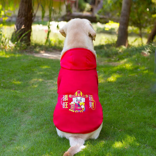 Sudadera Térmica para Perros Medianos y Grandes - Image 13