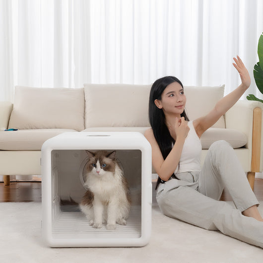 Secador Automático para Gatos Home Fashion - Image 10