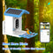 Comedero Solar Inteligente para Aves con Reconocimiento HD