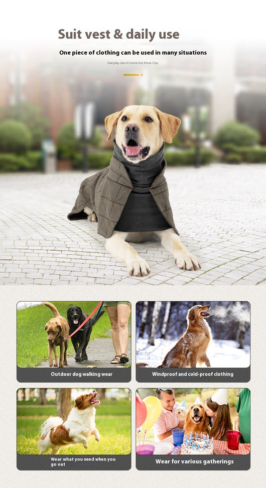 Abrigo Clásico Británico para Perros - Chaleco Térmico Impermeable - Image 8