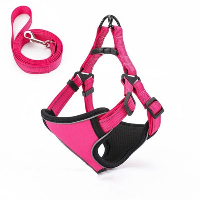 Arnés Chaleco para Pasear Perros con Cuerda Integrada - Image 16