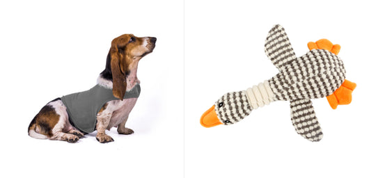 Chaleco Calmante para Mascotas - Ropa Terapéutica Antiansíedad para Gatos y Perros - Image 18