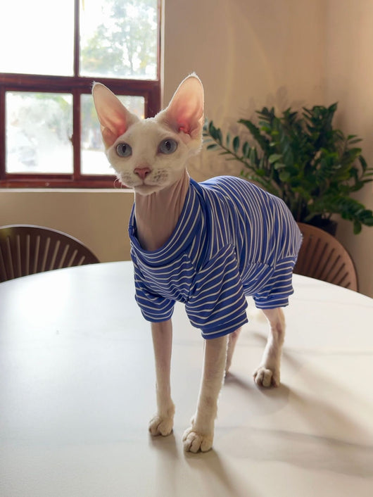 Ropa Transpirable para Gatos - Diseño Ligero y Fresco - Image 9