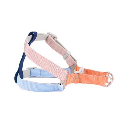 Correa Multicolor para Perro con Arnés de Pecho y Espalda - Image 4