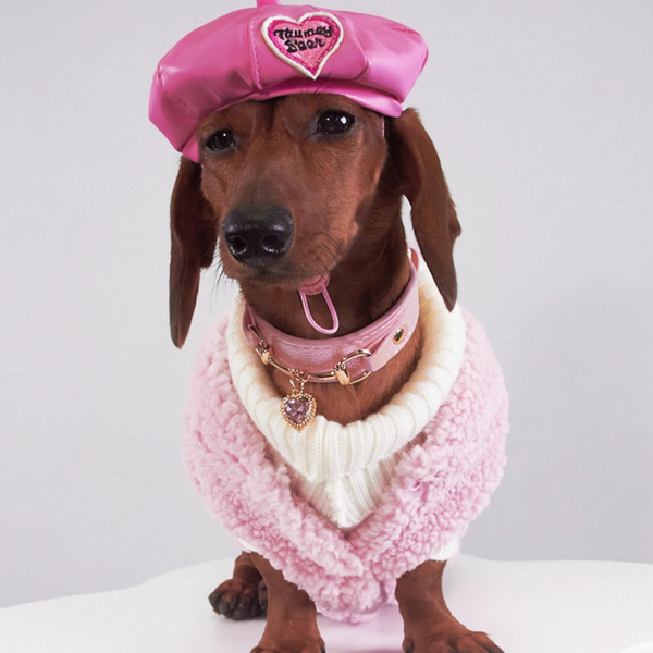 Chaleco de Lana para Mascotas - Abrigo Otoño e Invierno para Perros y Gatos