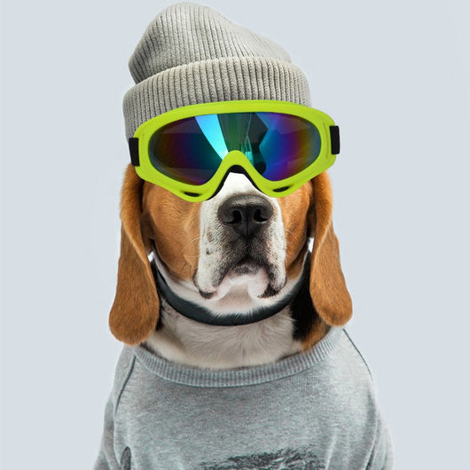 Gafas de Sol para Perros - Estilo y Protección Fashion