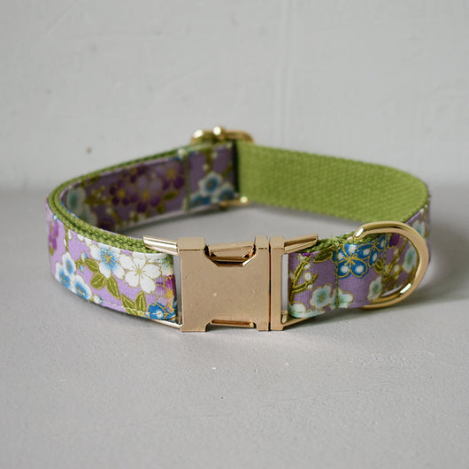 Collar Correa Purple Zephyr para Perros - Image 21