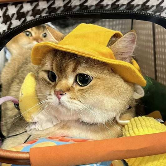 Gorro Bucket Protector Solar para Mascotas - Diseño de Orejas Descubiertas