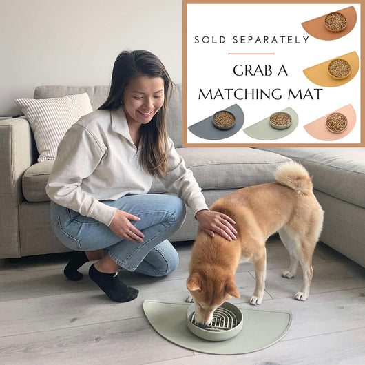 Comedero Lento de Silicona para Perros - Diseño Moderno Anti-Gulping - Image 11