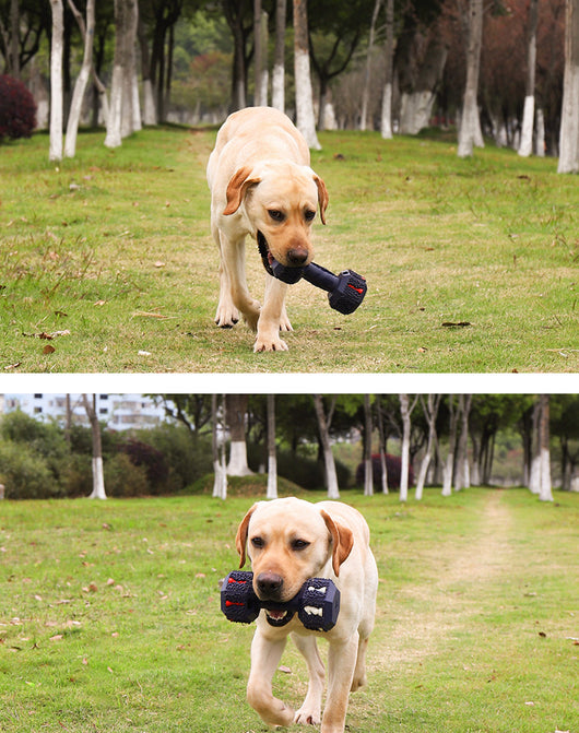 Juguete Mordedor Resistente para Perros Grandes - Limpieza Dental y Entretenimiento - Image 14